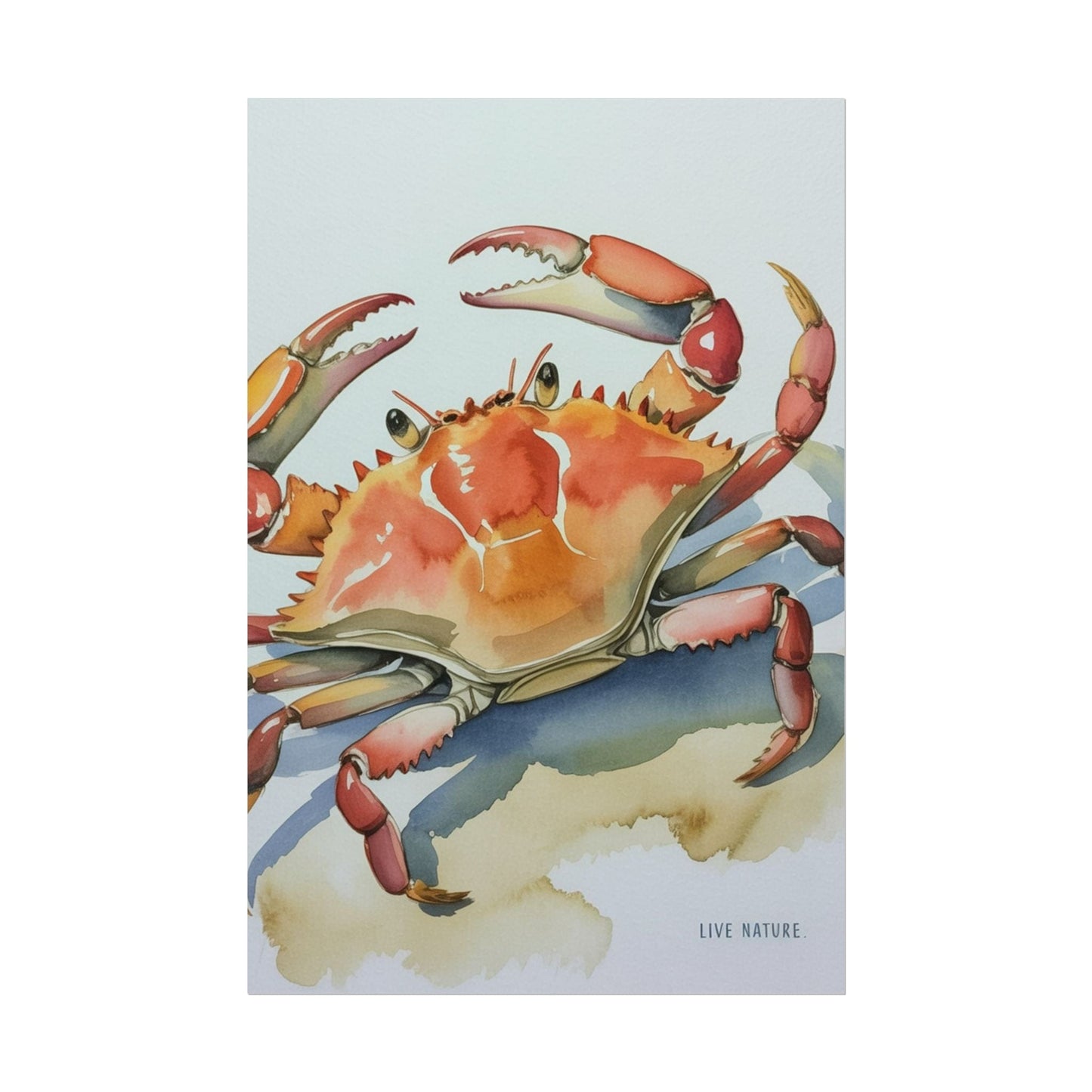 Live Nature Crab Watercolor Art Print Poster