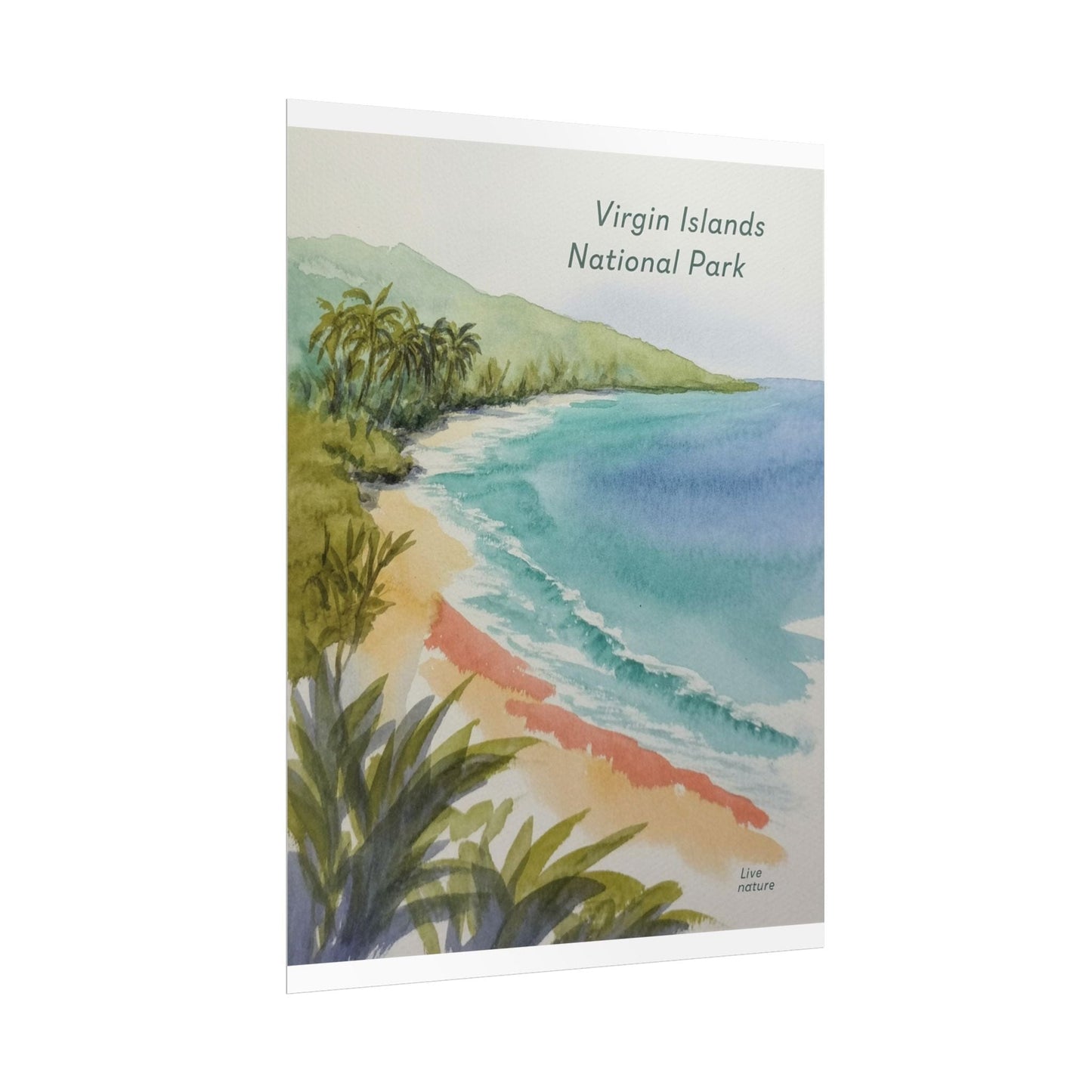 Virgin Islands National Park Watercolor Art Print