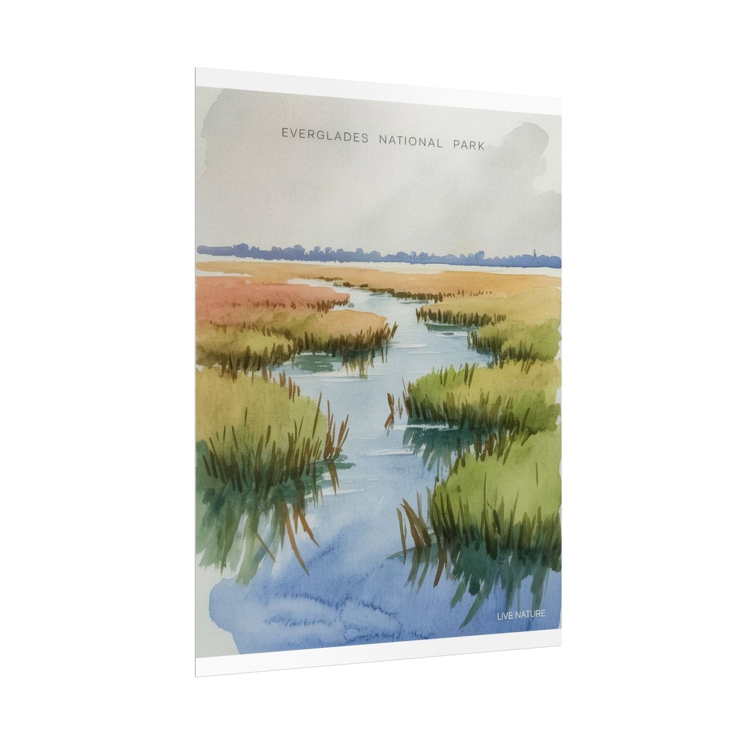 Everglades National Park Watercolor Poster Print