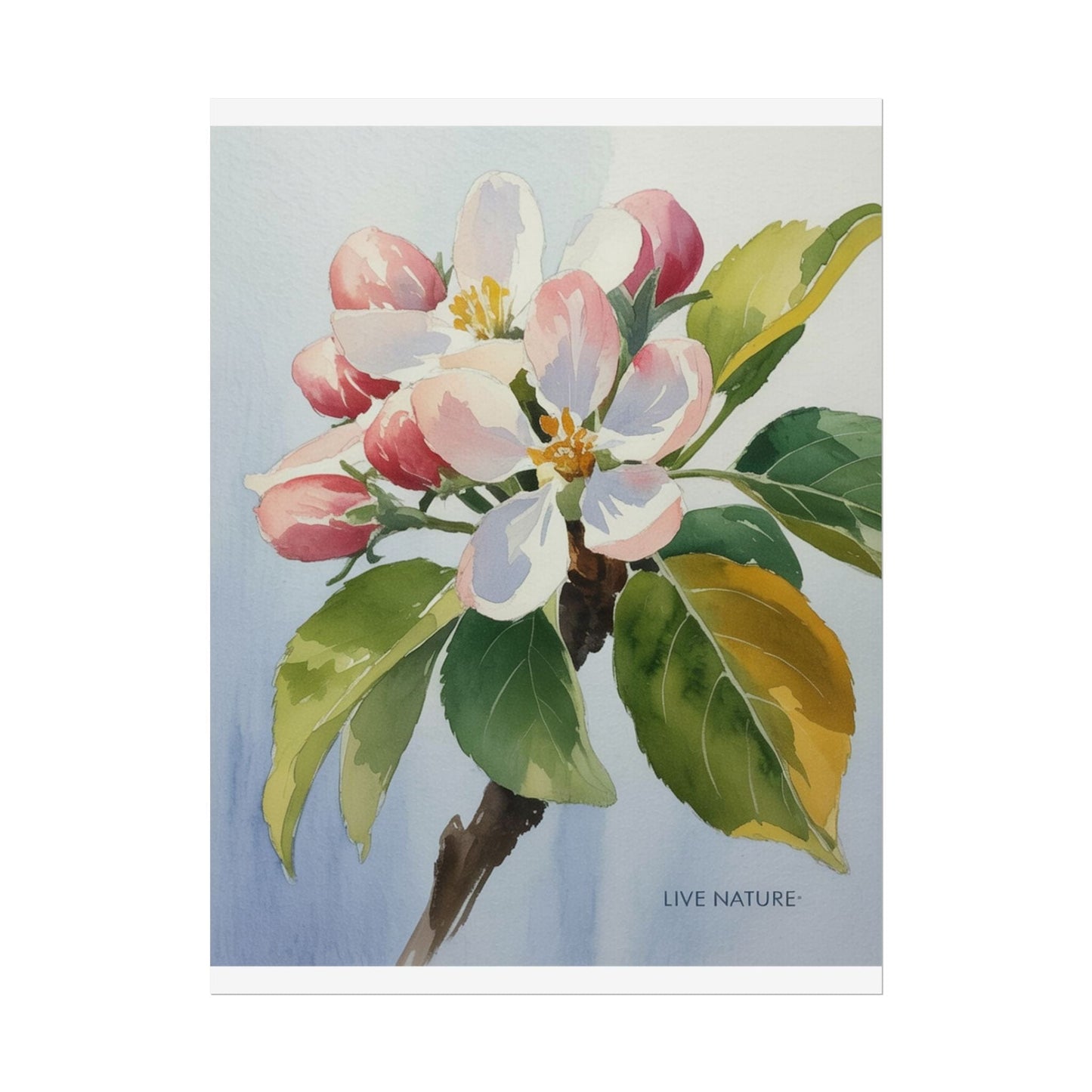 Apple Blossom Watercolor Print 'Live Nature' Design
