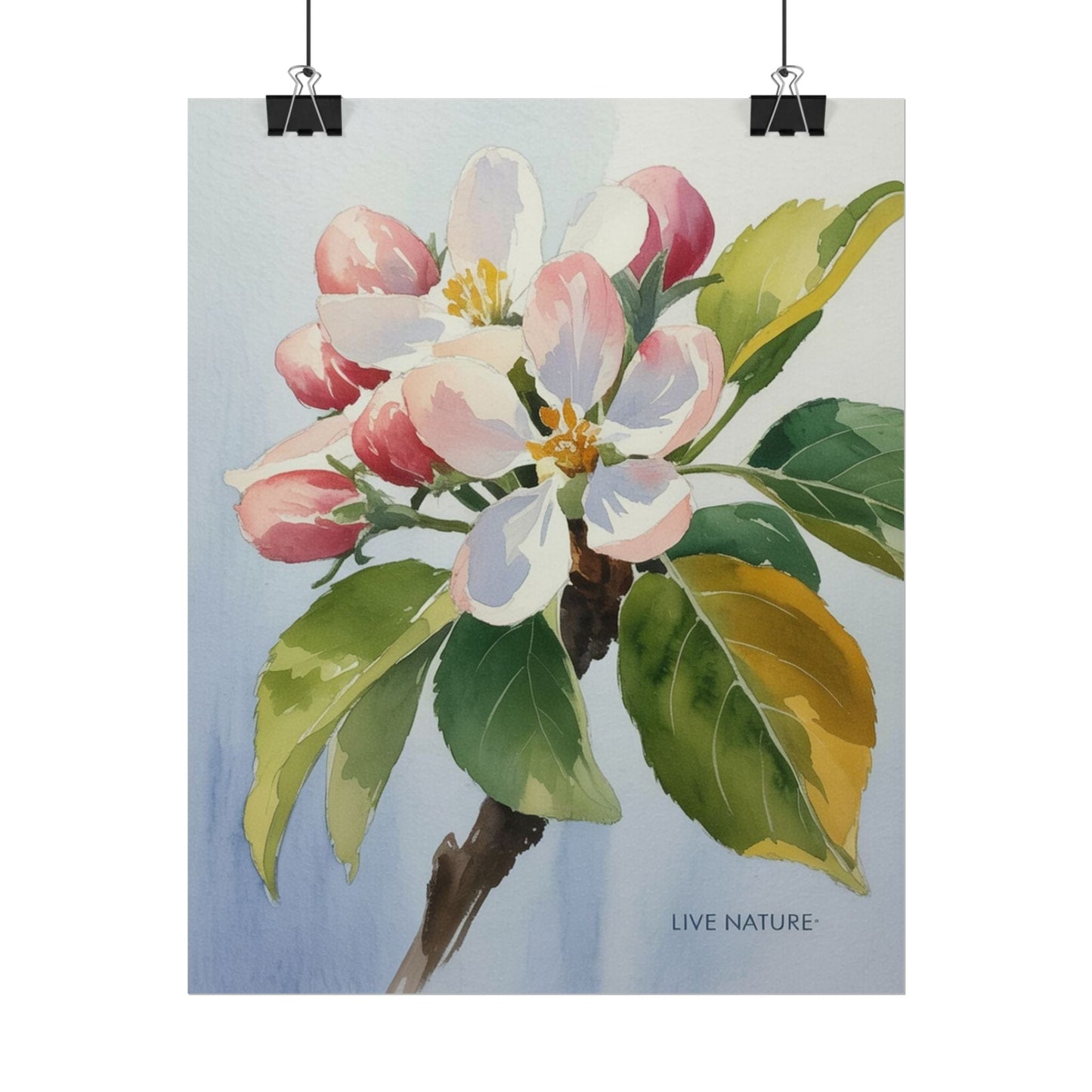 Apple Blossom Watercolor Print 'Live Nature' Design