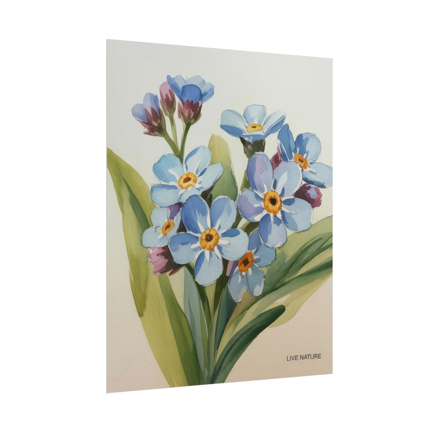 Alaska Forget-Me-Not Floral Watercolor Art Print