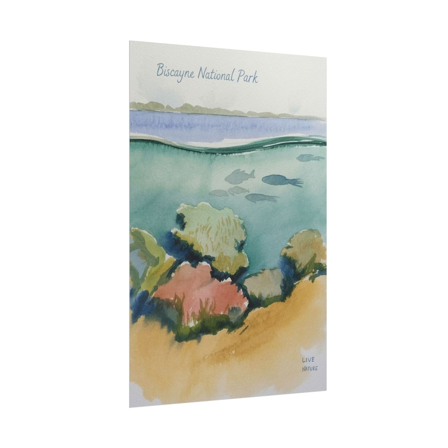 Biscayne National Park Underwater Watercolor Print