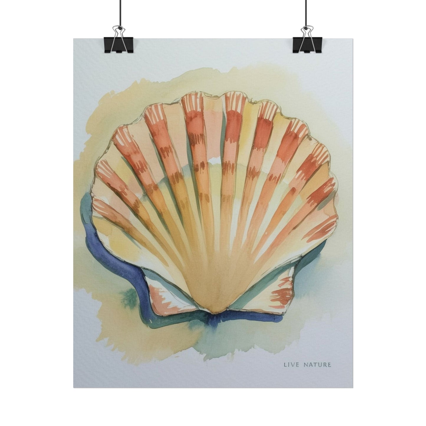 Clam Shell Watercolor Art Print 'Live Nature