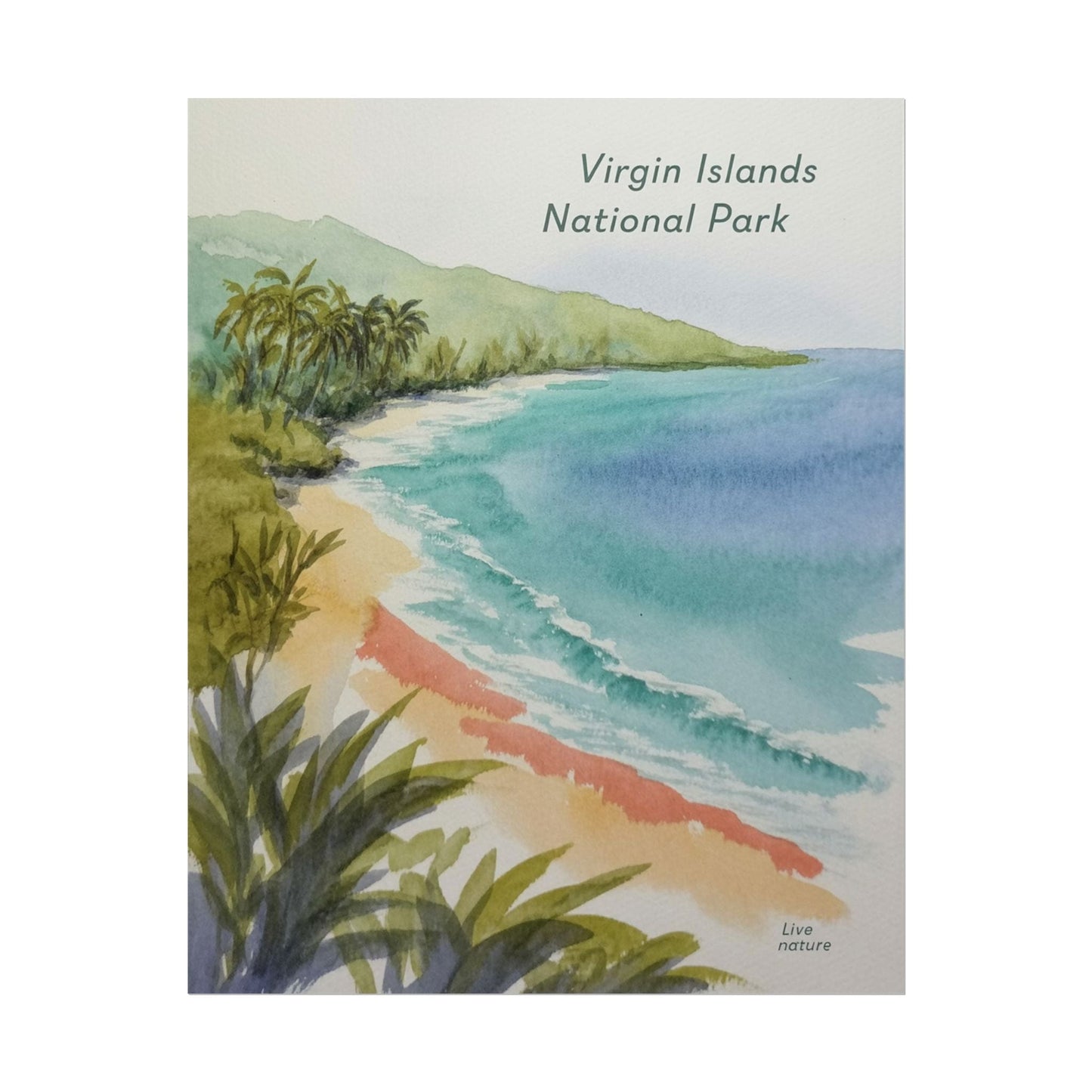 Virgin Islands National Park Watercolor Art Print