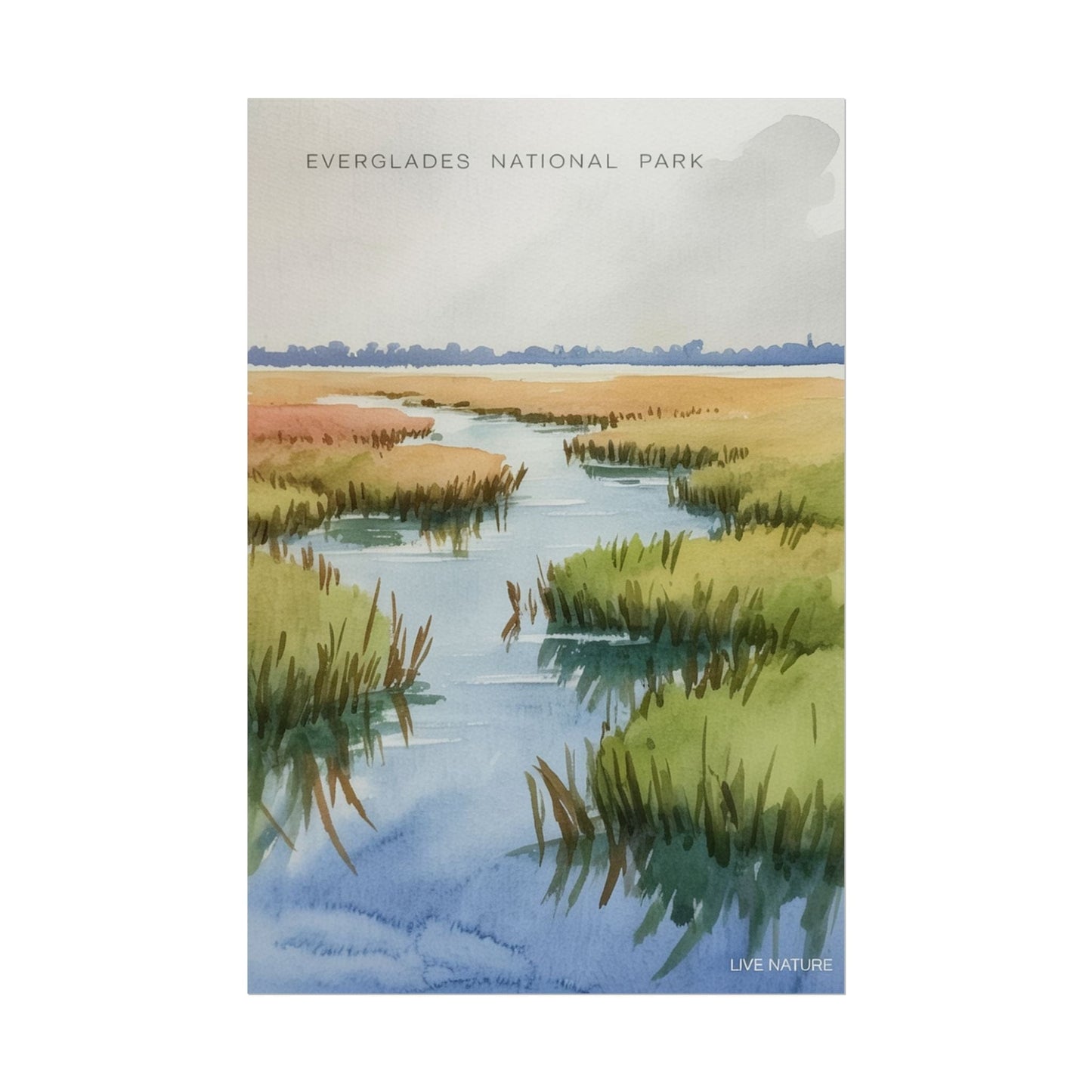 Everglades National Park Watercolor Poster Print