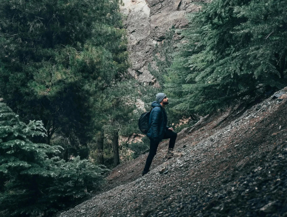 Eco-Friendly Clothing: A Comprehensive Guide to Sustainable Fashion - Live Nature