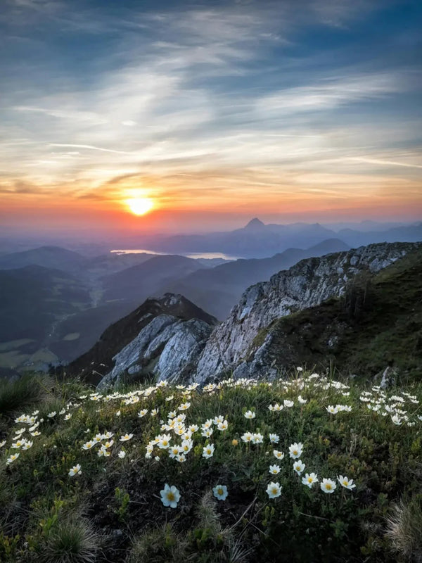 Floral Apparel - Live Nature