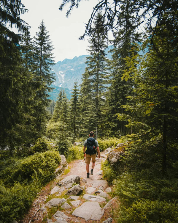 Mountain Apparel - Live Nature