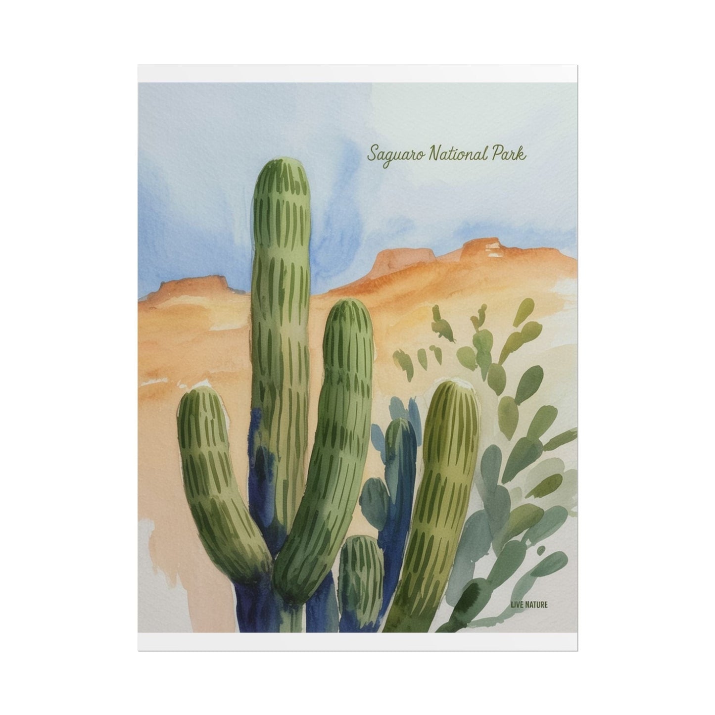 Saguaro National Park Watercolor Cactus Art Print