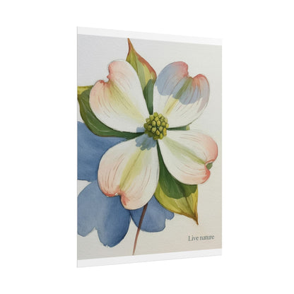Flowering Dogwood Watercolor Print 'Live Nature