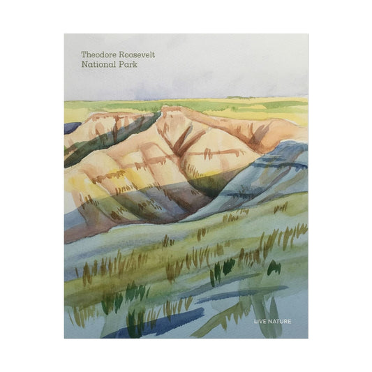 Theodore Roosevelt National Park Watercolor Poster Print