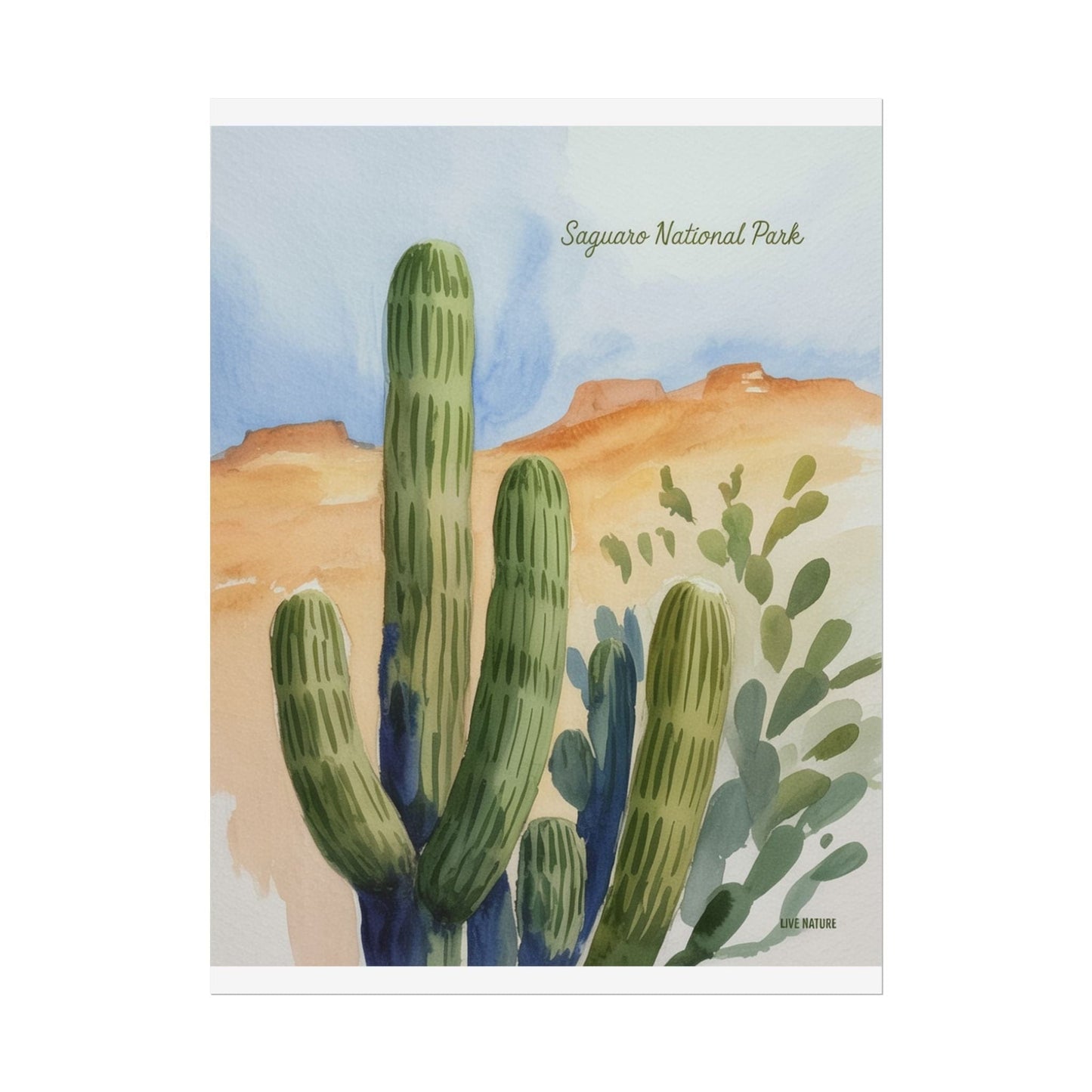 Saguaro National Park Watercolor Cactus Art Print