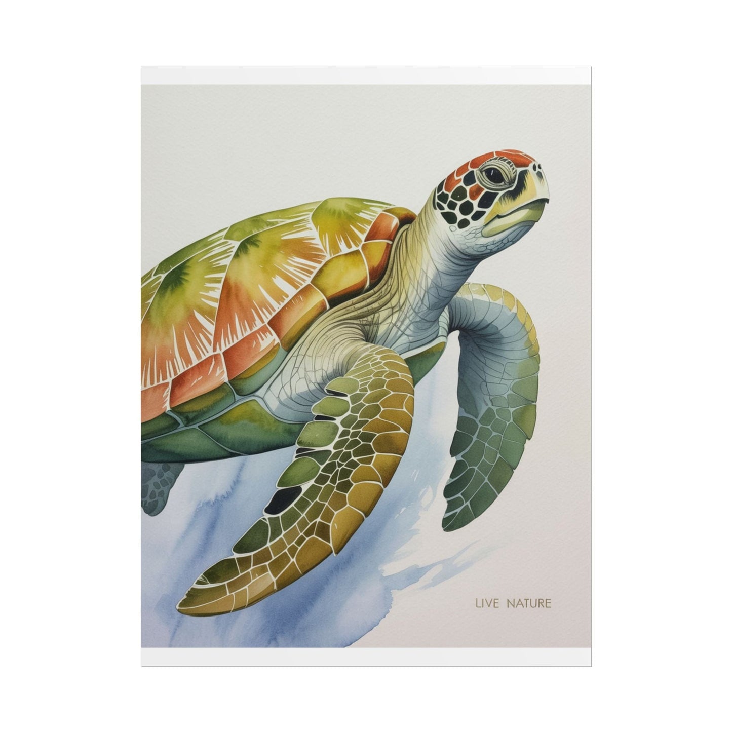 Sea Turtle Watercolor Art Print 'Live Nature' Design