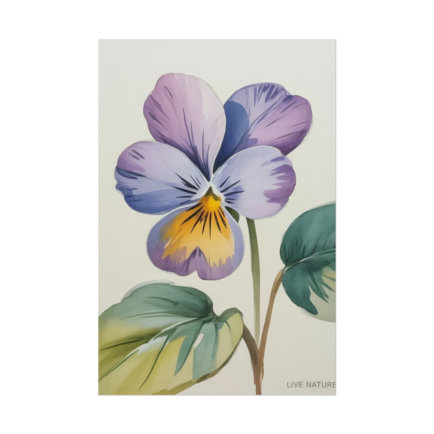 Wisconsin Wood Violet Watercolor Print – State Flower Art