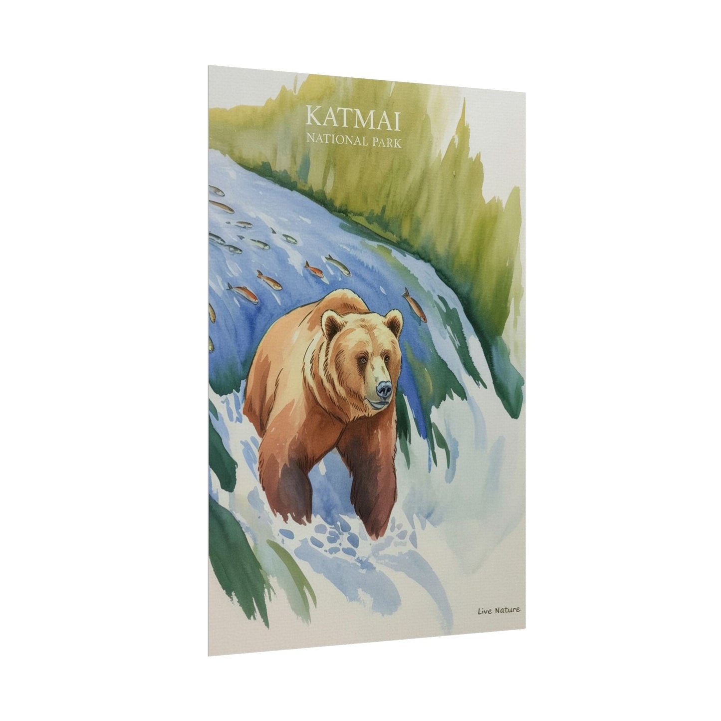 Katmai National Park Bear Watercolor Art Print