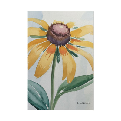 Black Eyed Susan Watercolor Art Print - Live Nature