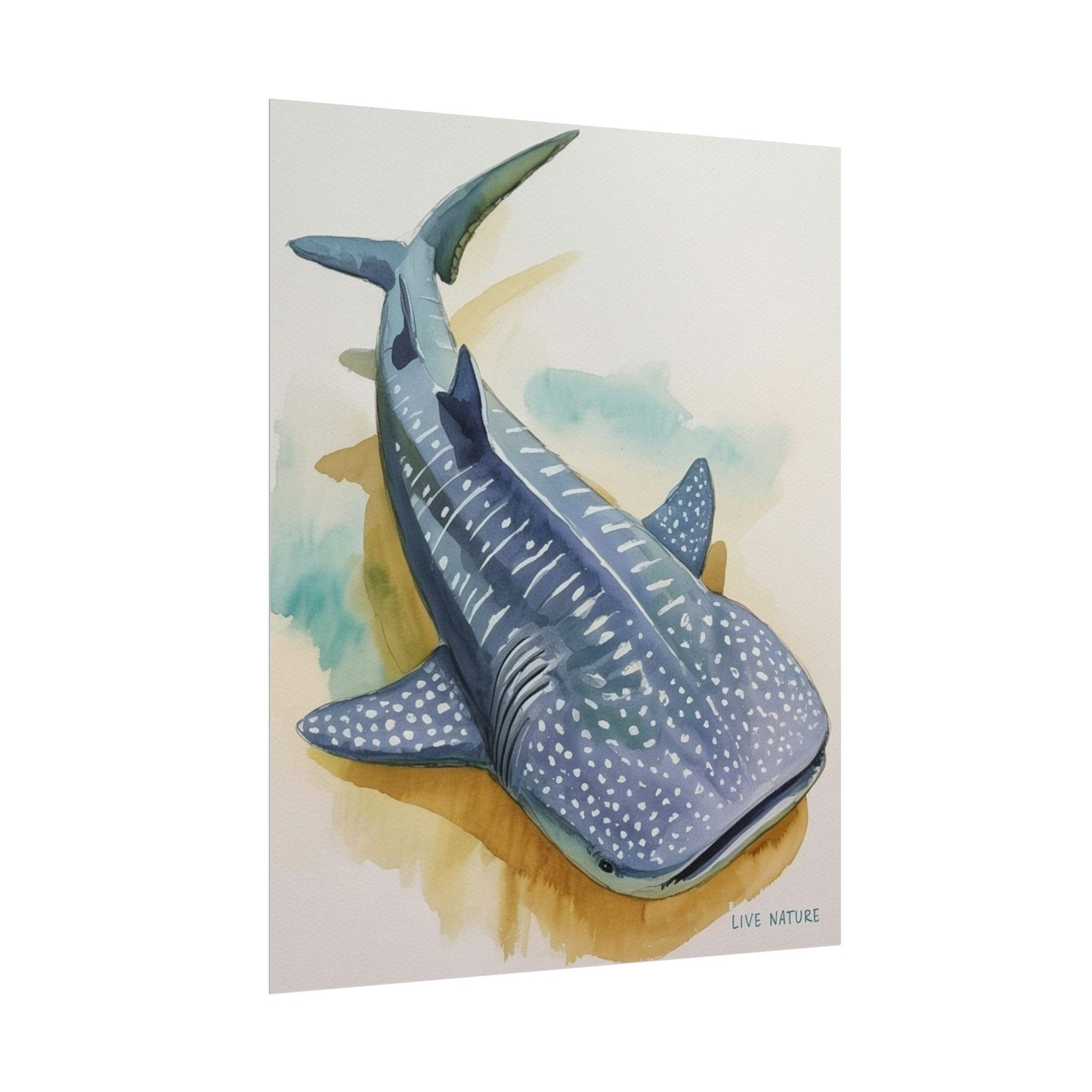 Whale Shark Watercolor Print Live Nature Design