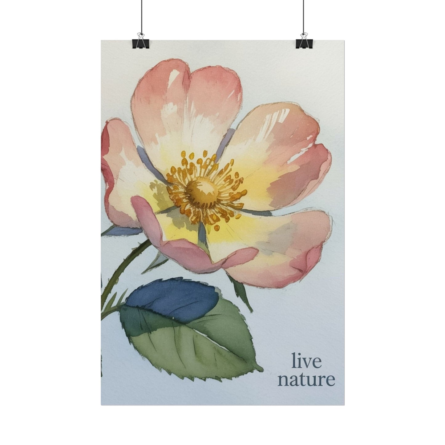 Wild Prairie Rose Watercolor Print with 'Live Nature' Text