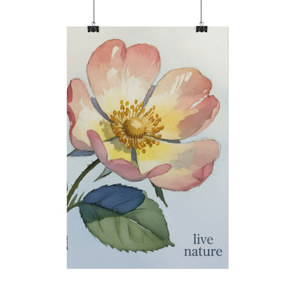 Wild Prairie Rose Watercolor Print with 'Live Nature' Text