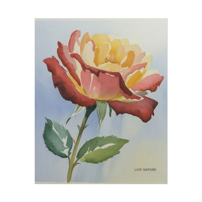 New York State Rose Watercolor Art Print