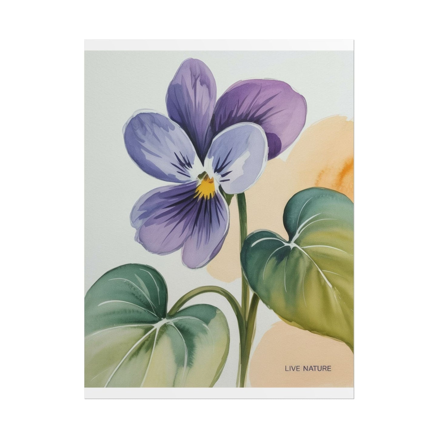 Prairie Violet Botanical Art Print - Live Nature Design