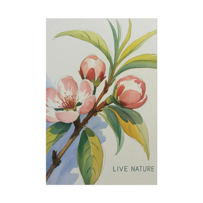 Peach Blossom Live Nature Art Print Poster