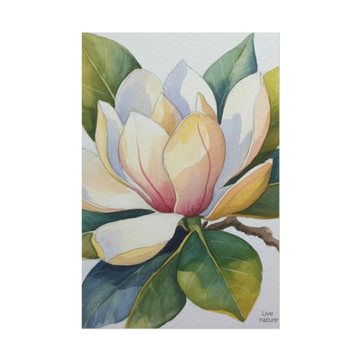 Magnolia Blossom Watercolor Print Fine Art Poster