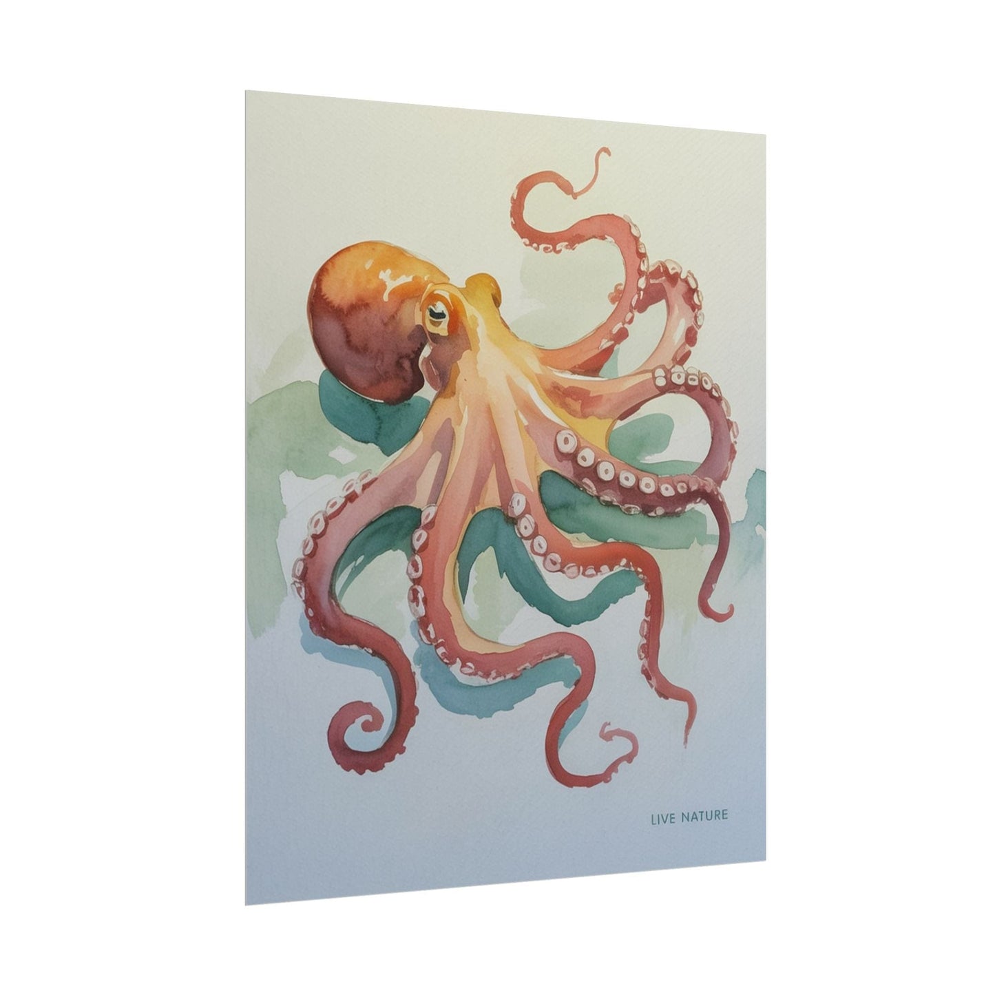 Watercolor Octopus Live Nature Art Print Poster