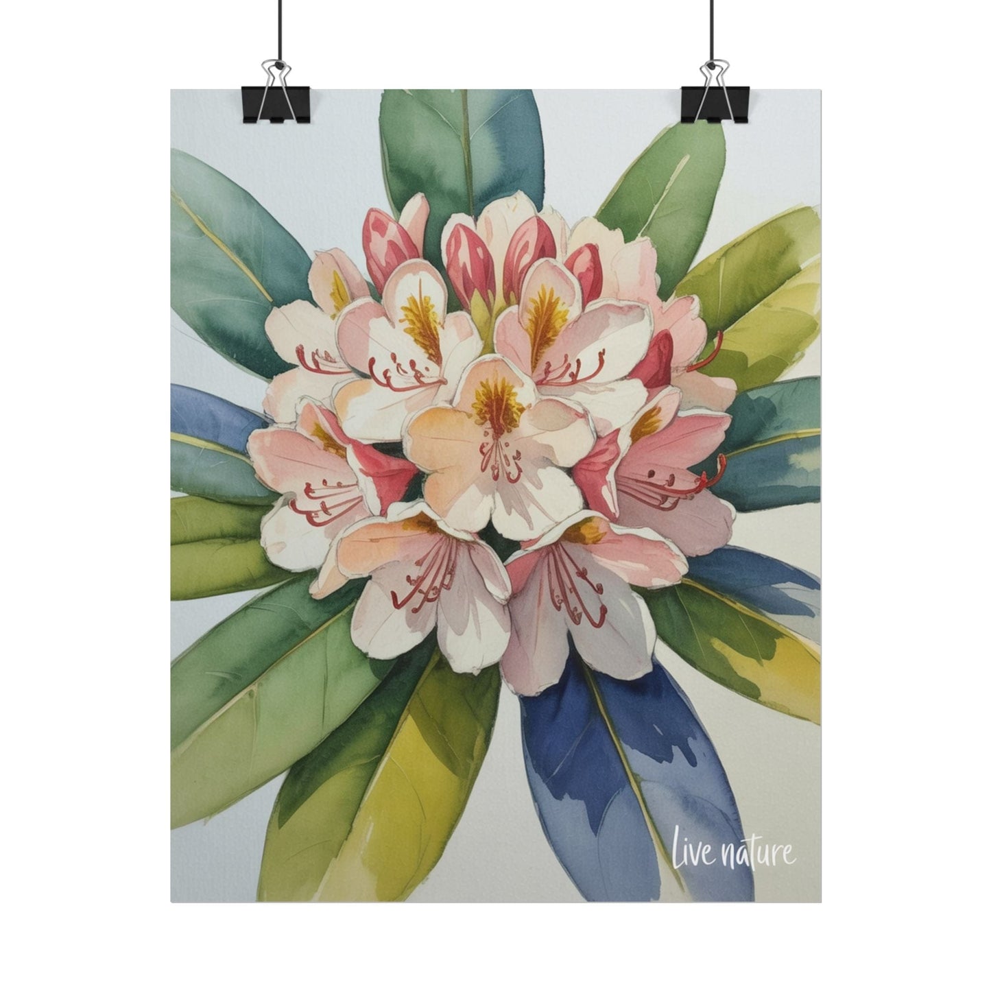 Rhododendron Blossom Watercolor Print 'Live Nature