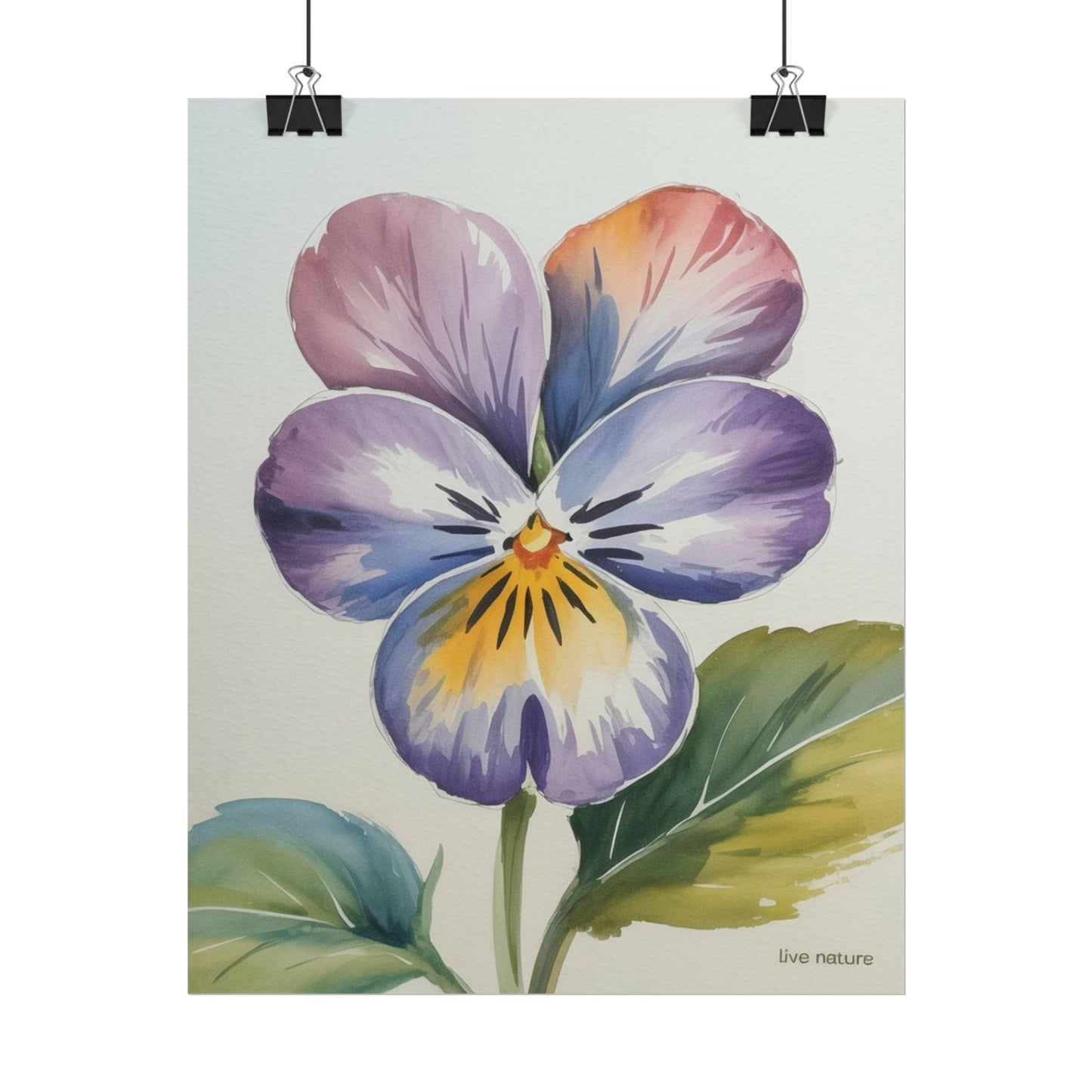 Violet Pansy Watercolor Art Print - Live Nature Design