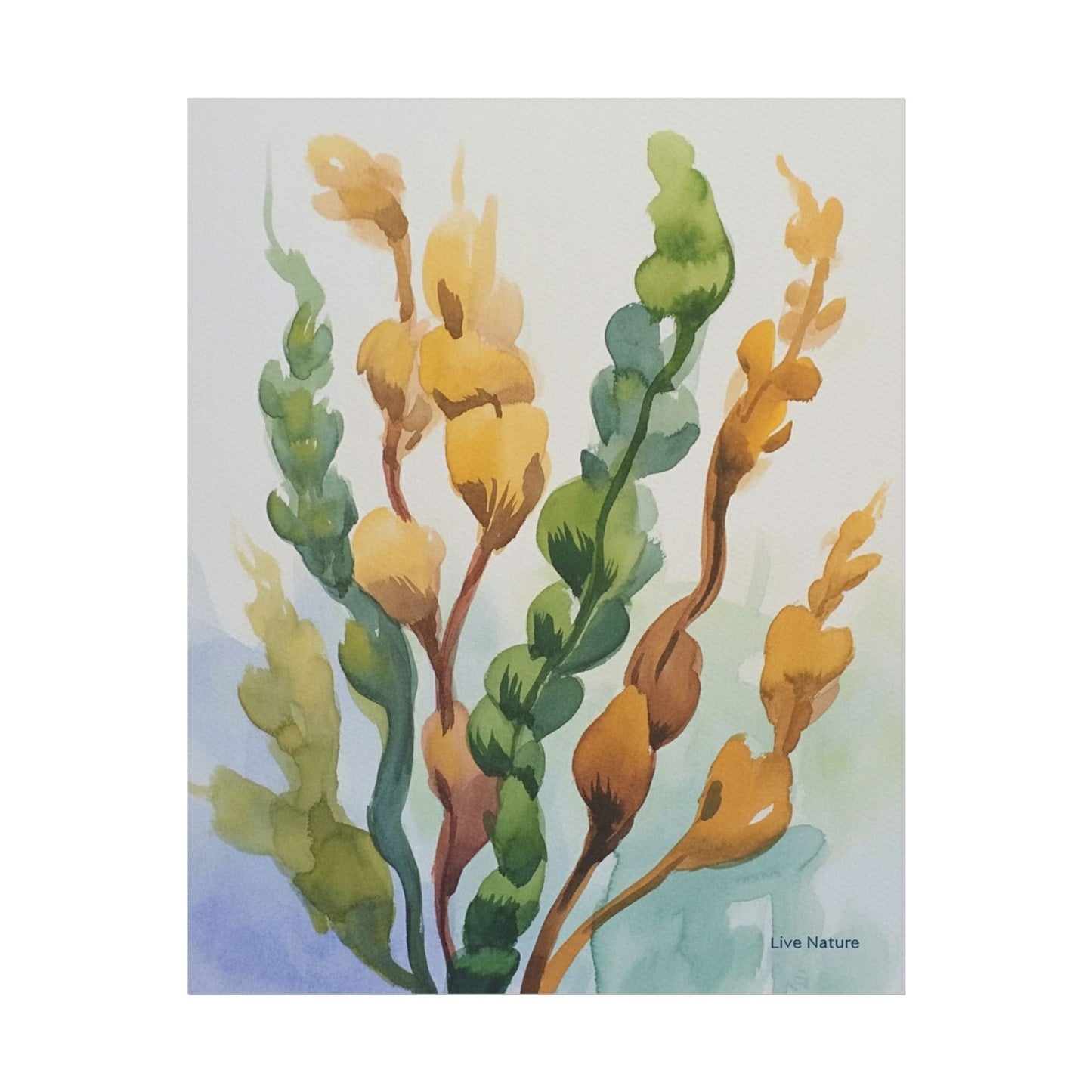 Seaweed Watercolor Art Print Coastal Nature Design