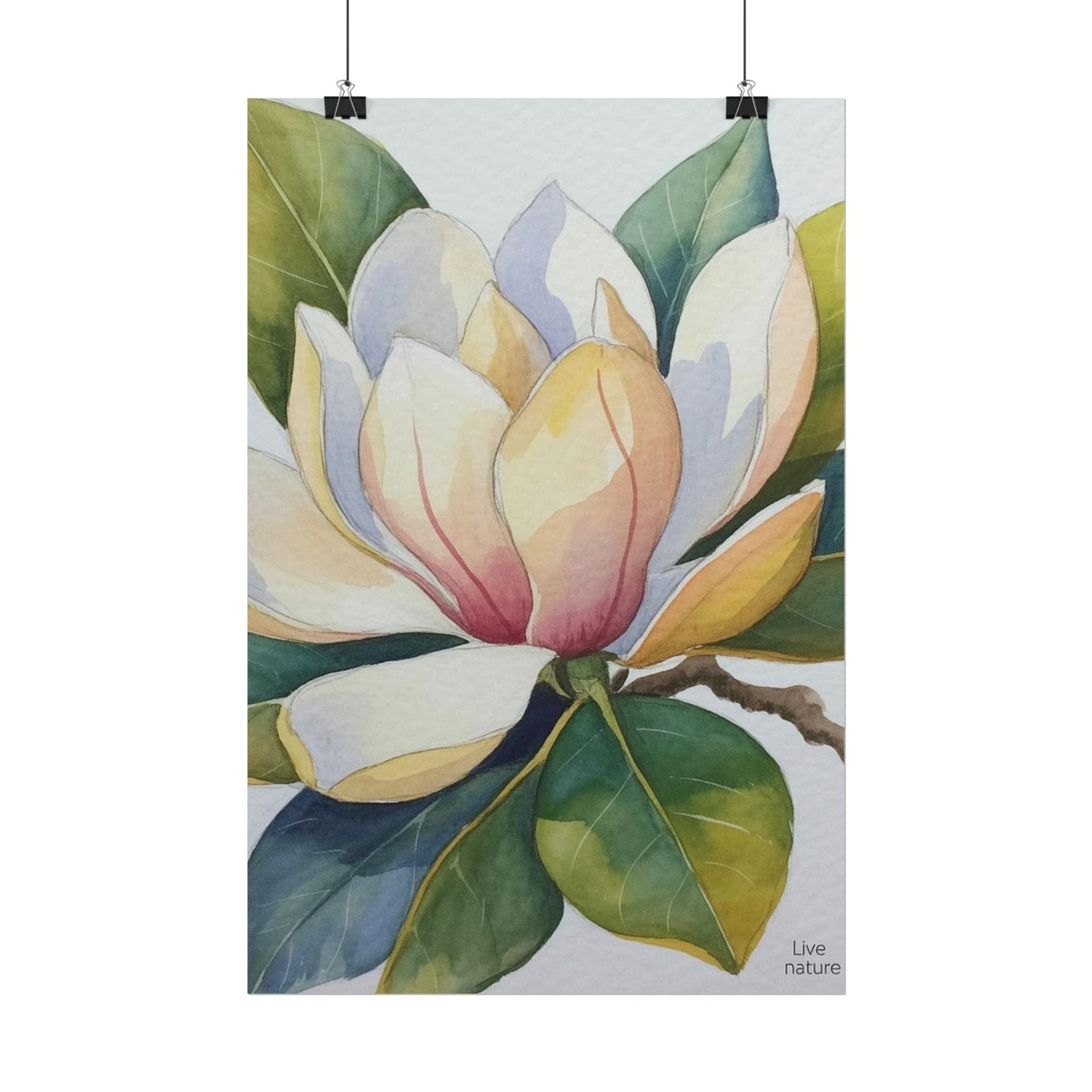 Magnolia Blossom Watercolor Print Fine Art Poster