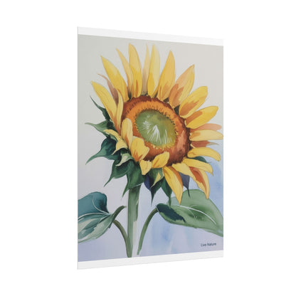 Kansas Sunflower Watercolor Art Print 'Live Nature