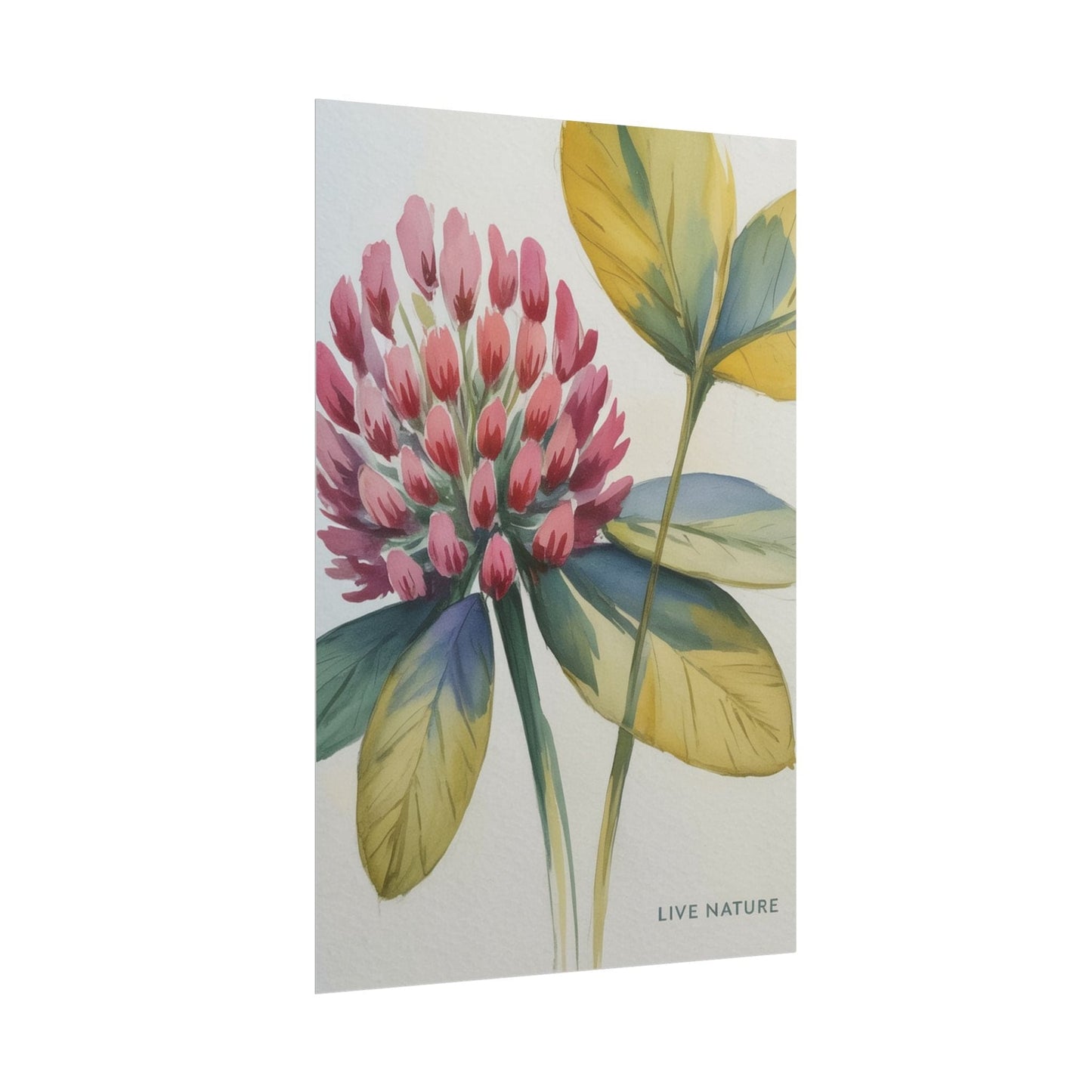 Red Clover Botanical Art Print 'Live Nature' Design