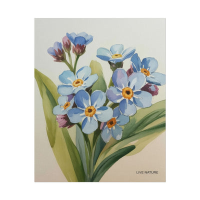 Alaska Forget-Me-Not Floral Watercolor Art Print
