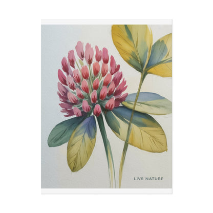 Red Clover Botanical Art Print 'Live Nature' Design