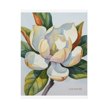 Magnolia Blossom Art Print on Fine Art Paper