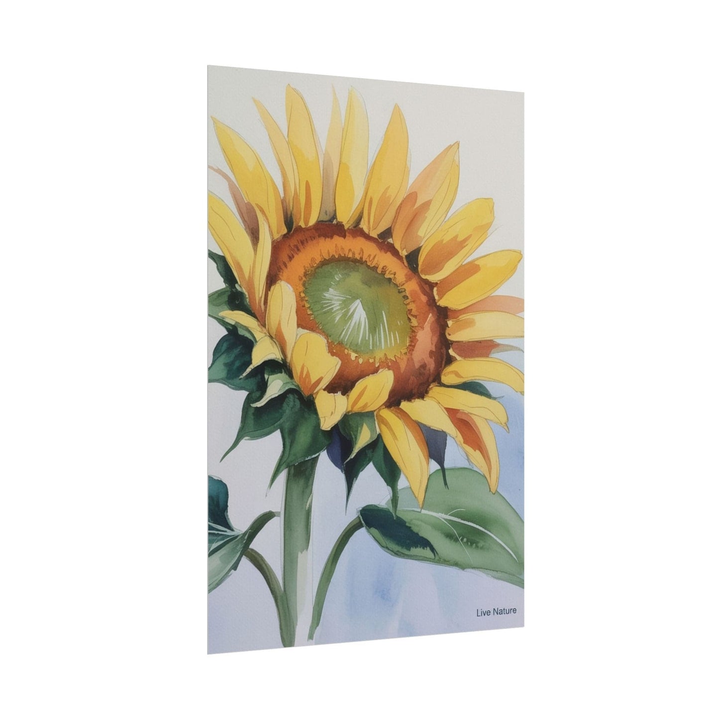 Kansas Sunflower Watercolor Art Print 'Live Nature