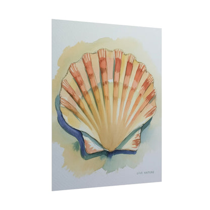 Clam Shell Watercolor Art Print 'Live Nature