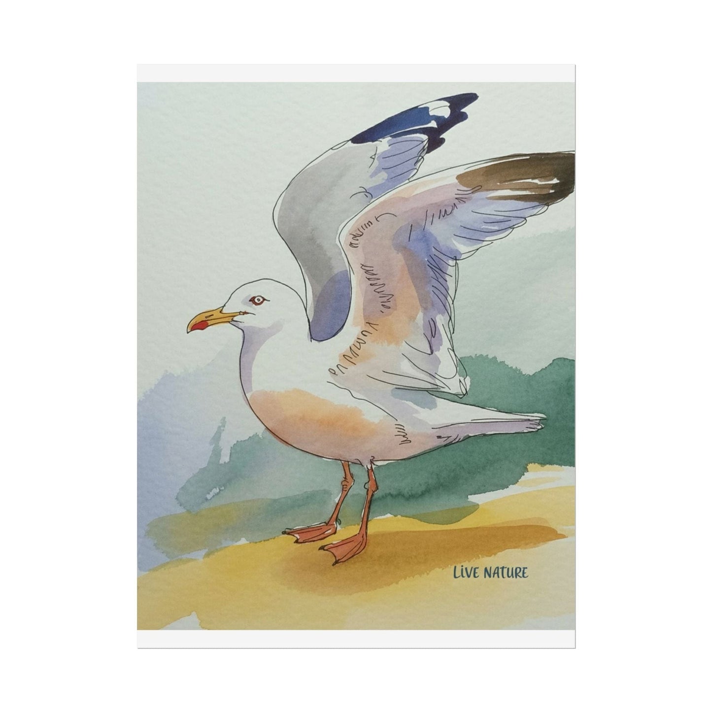 Seagull Watercolor Art Print 'Live Nature' Edition