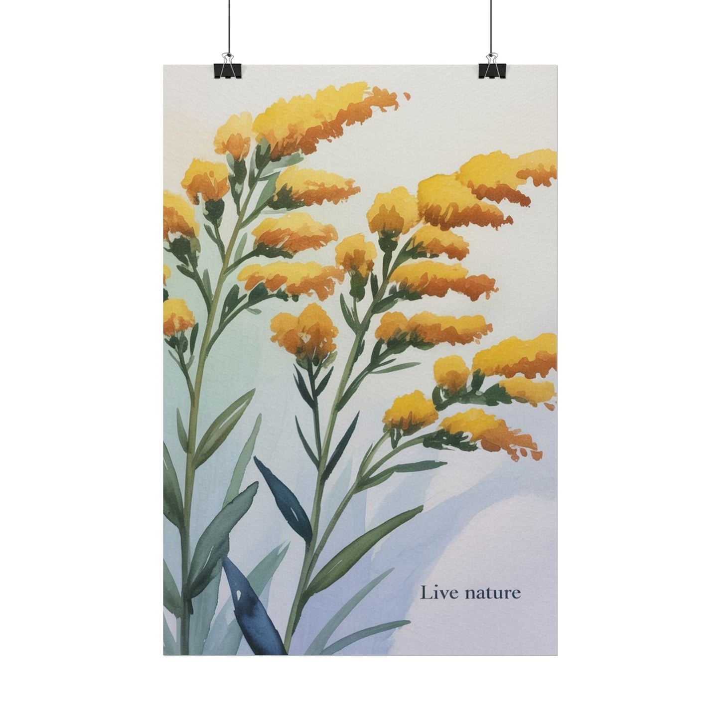 Goldenrod Flower Watercolor Poster - Live Nature Art