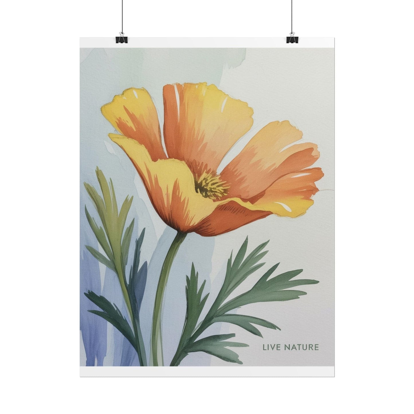 California Poppy Watercolor Art Print 'Live Nature