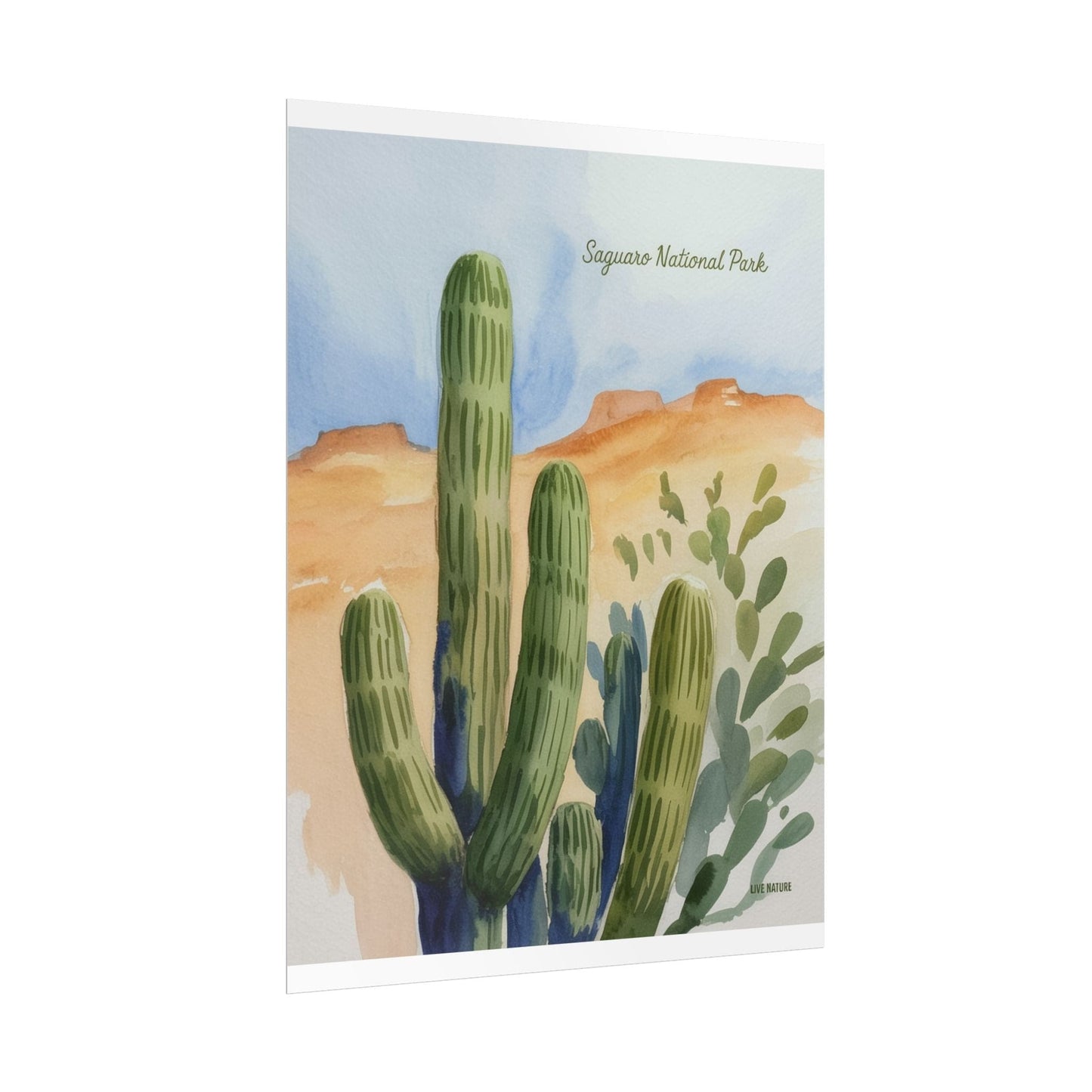Saguaro National Park Watercolor Cactus Art Print