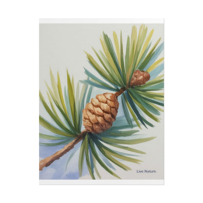 Maine Pine Cone Watercolor Print - Live Nature Art