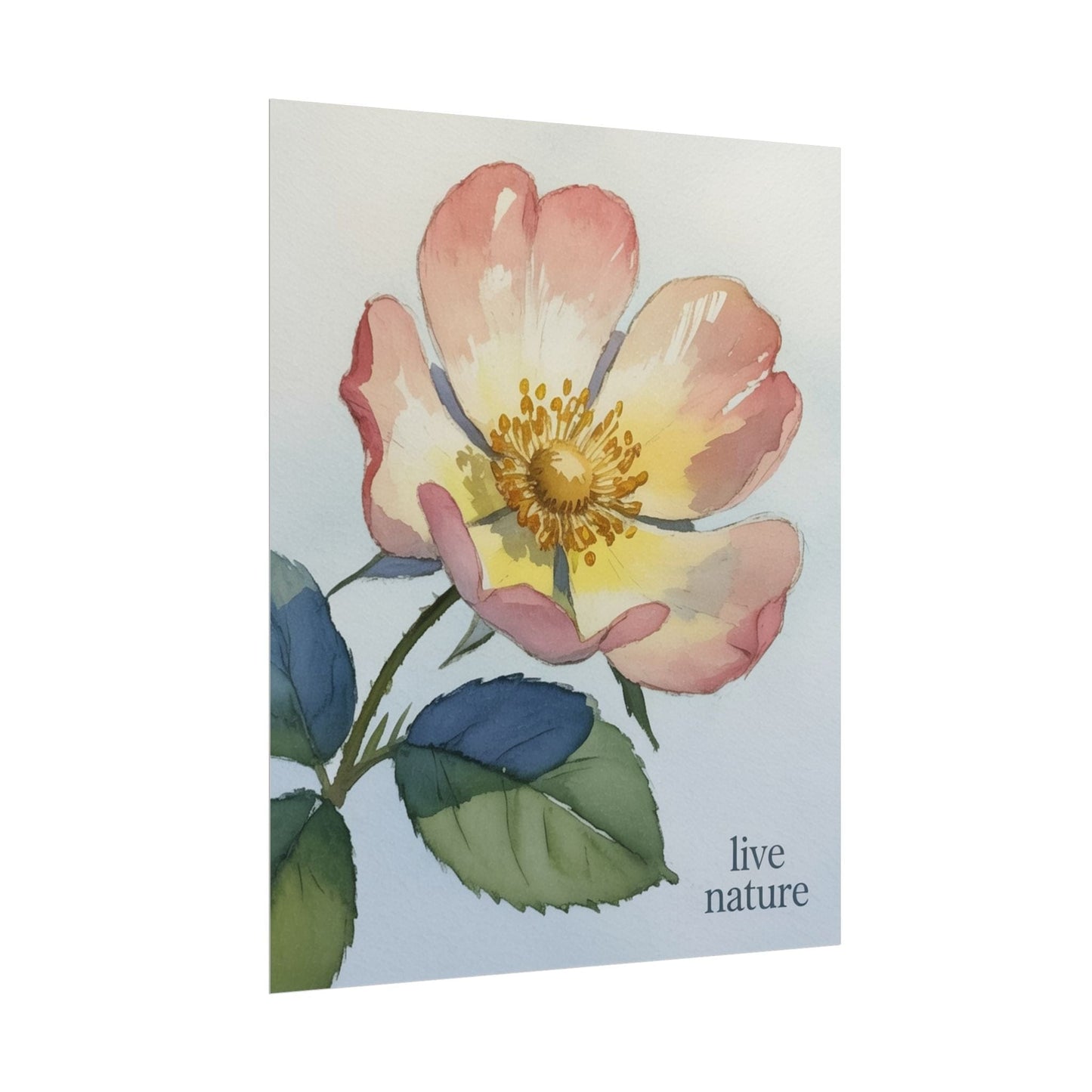 Wild Prairie Rose Watercolor Print with 'Live Nature' Text