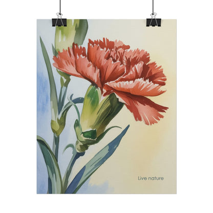 Scarlet Carnation Watercolor Art Print 'Live Nature