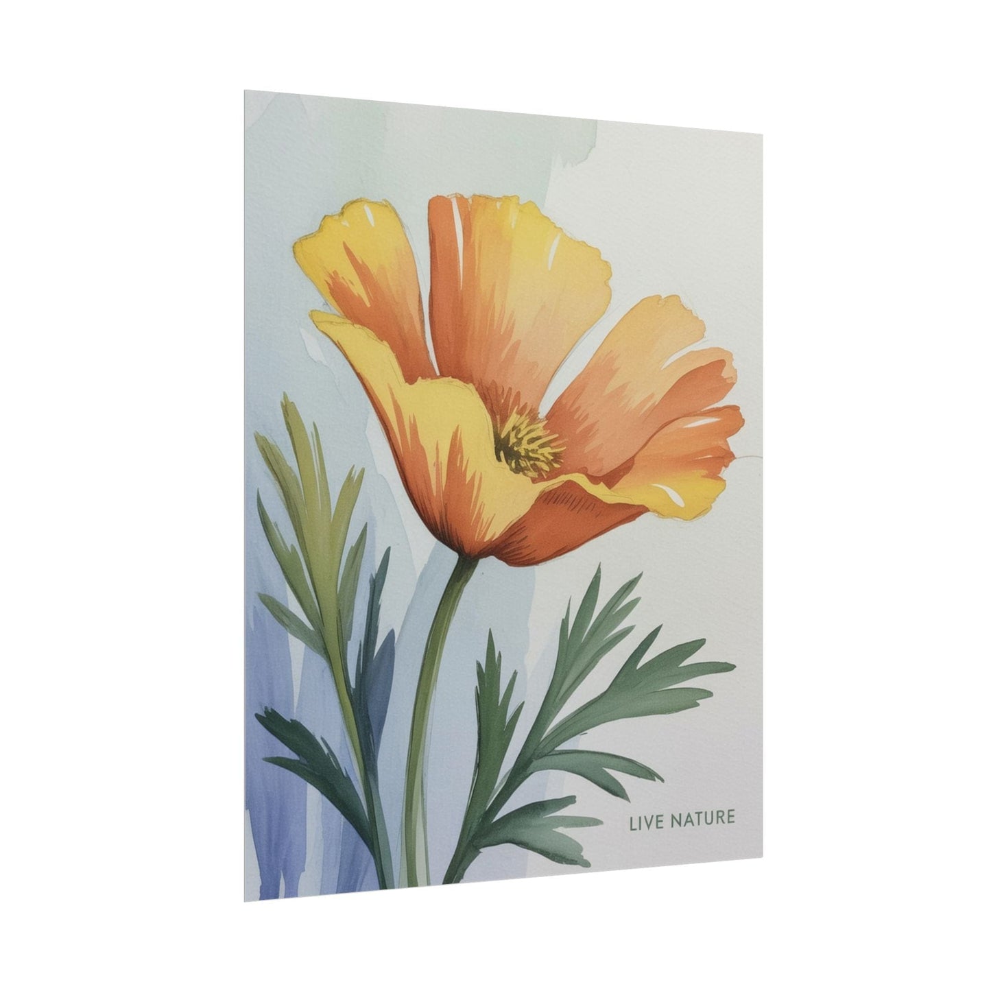 California Poppy Watercolor Art Print 'Live Nature