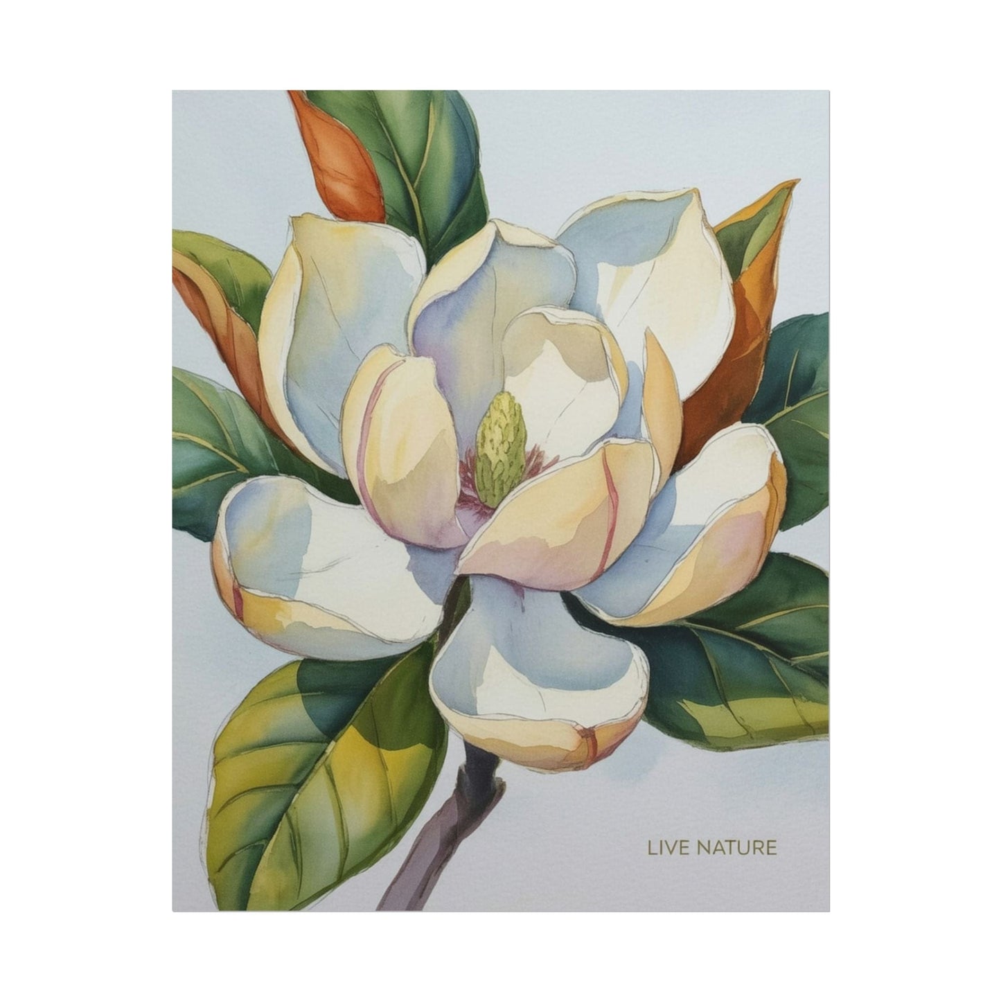 Magnolia Blossom Art Print on Fine Art Paper