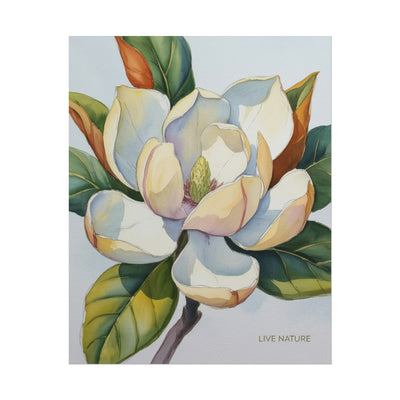 Magnolia Blossom Art Print on Fine Art Paper